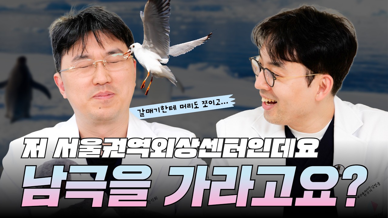  갈매기가 머리를 막…😲 남극 갔다 온 썰 푼다ㅣN퀴즈온더블록
