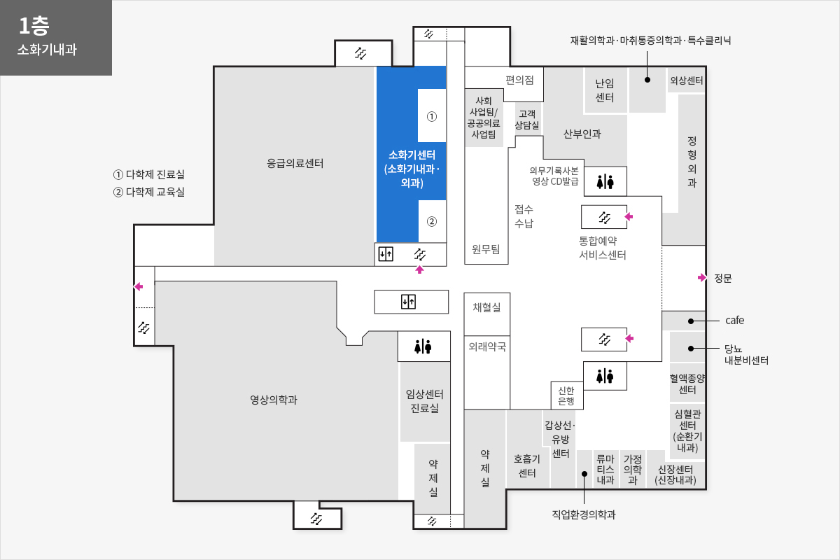 1층 소화기내과