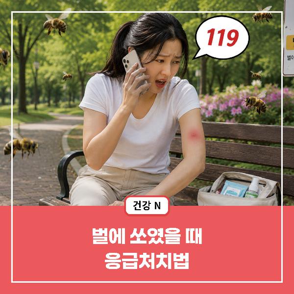 [건강N] 벌에 쏘였을 때 응급처치법(에피네프린 자가 주사법) 