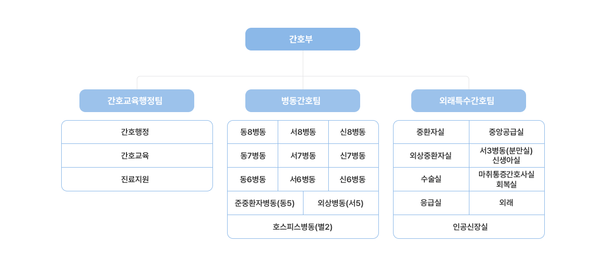 간호부 조직도 피씨